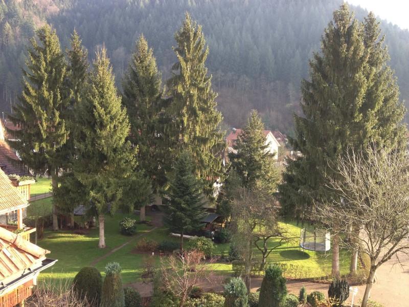 Hotel Garni Cafe Schacher Oberwolfach Екстериор снимка